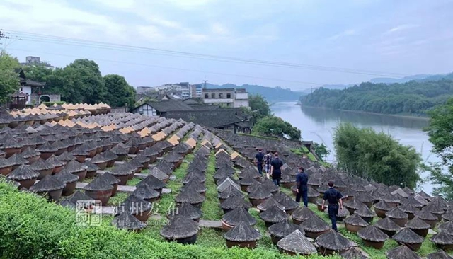 合江、隆昌、翠屏區(qū)入選成渝地區(qū)雙城經(jīng)濟(jì)圈建設(shè)縣域集成改革首批試點(diǎn)名單(圖4)