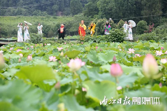 嘿！“唐僧師徒”來內(nèi)江遇上了“荷花仙子”(圖2)