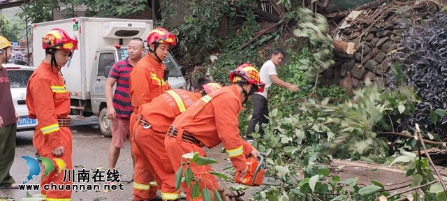 大風刮倒大樹壓車堵路　瀘州消防火速排險(圖2)