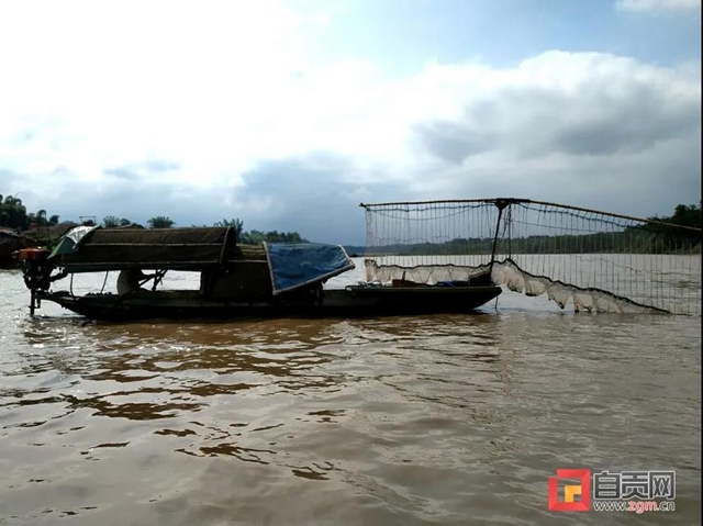 電魚機、電拖網(wǎng)…央視報道富順“6.30”非法捕撈水產(chǎn)品案(圖6)