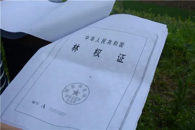 江陽法院巡回審判：林地里走來“親切法官”！(圖2)