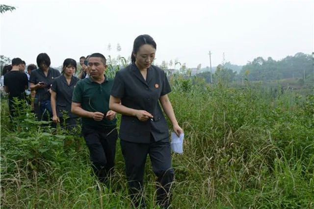 江陽法院巡回審判：林地里走來“親切法官”！(圖4)