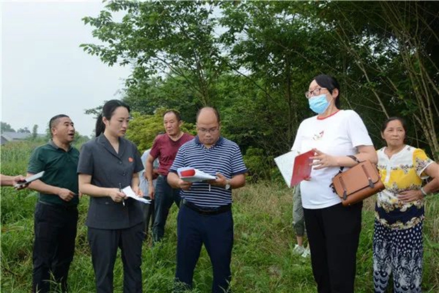 江陽法院巡回審判：林地里走來“親切法官”！(圖5)