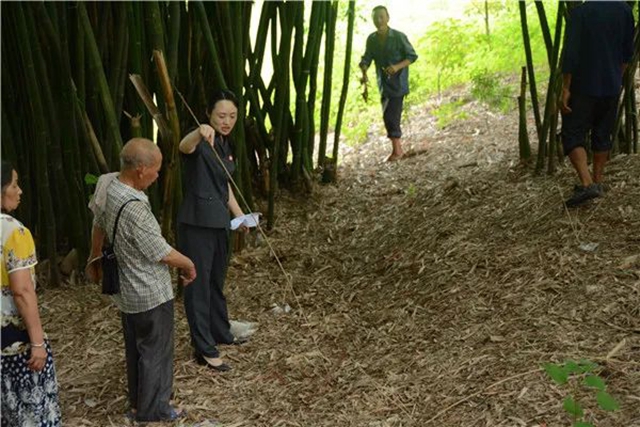 江陽法院巡回審判：林地里走來“親切法官”！(圖6)