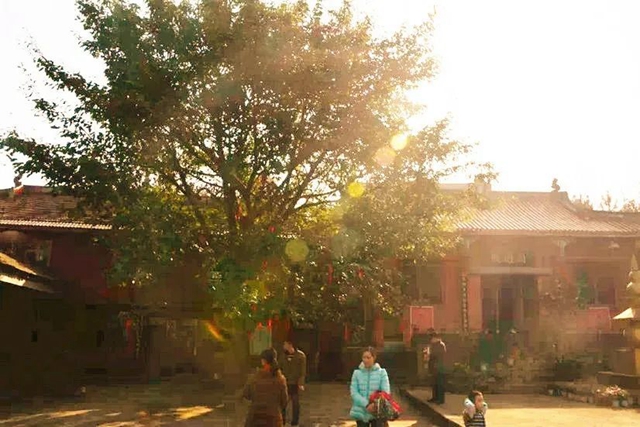 世外仙境！內(nèi)江這個(gè)被藏起來(lái)的絕美景點(diǎn)，竟然長(zhǎng)達(dá)600多年(圖2)