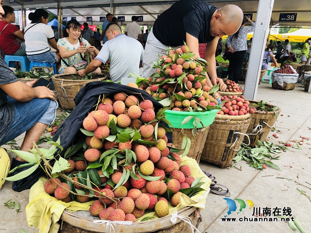 電商直播激發(fā)銷(xiāo)售潛力，合江荔枝綻放別樣“火紅”！(圖3)