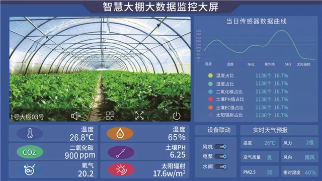 內(nèi)江高科技！一部手機(jī)“種”莊稼