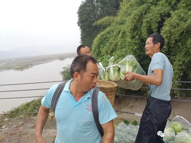 點(diǎn)贊！宜賓三名大學(xué)生向泥溪捐贈(zèng)1000斤新鮮蔬菜(圖4)