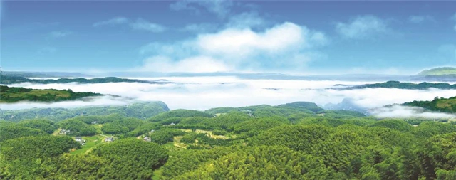 首批省級現(xiàn)代竹產(chǎn)業(yè)基地、翠竹長廊、竹林人家名單公示，瀘州這些地方上榜