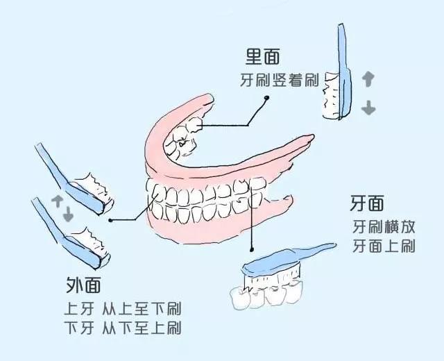 【注意】每天這樣刷牙，竟是在毀掉我們的牙齒？(圖4)