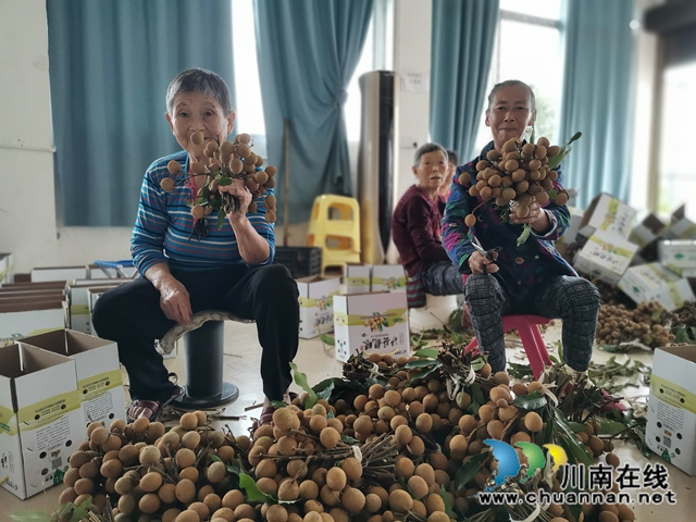 電商鮮銷十龍眼烘干 瀘縣牛灘鎮(zhèn)新嘉村延伸龍眼產(chǎn)業(yè)鏈助農(nóng)脫貧增收(圖3)