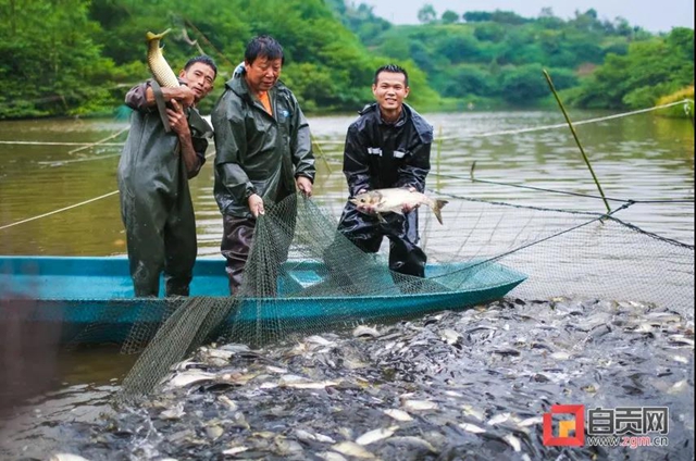 豐收啦！被這組鹽都農(nóng)民的笑臉暖化(圖10)