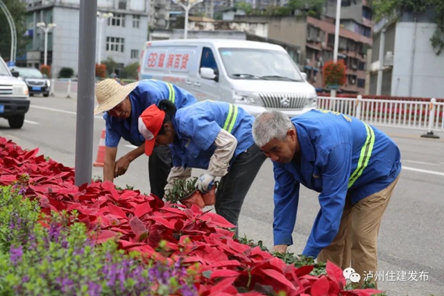 “儀式感”爆棚 | 85萬盆鮮花扮靚酒城(圖5)