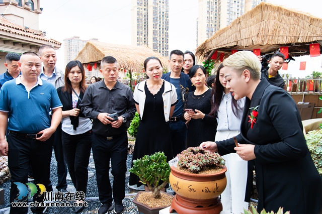 目測(cè)馬上網(wǎng)紅！“蔓多米多肉花園”驚艷亮相瀘州關(guān)口！(圖5)