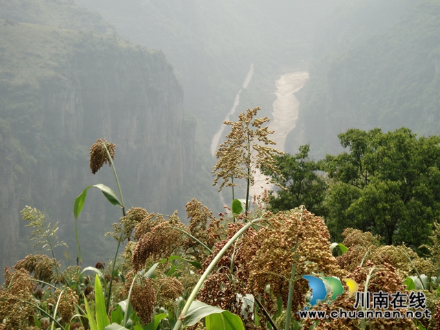 陳大剛：鄉(xiāng)下的中秋(圖5)