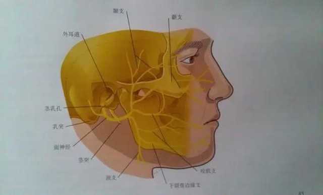 【太慘】一跤摔下去，男子下巴歪了、耳朵掉了？(圖2)