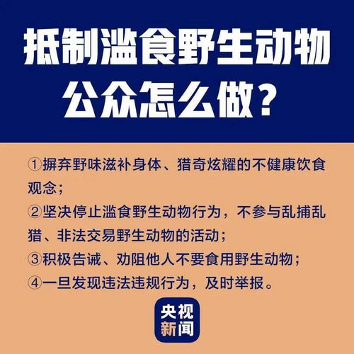 自貢一男子在抖音炫耀剮殺果子貍，結果......(圖4)