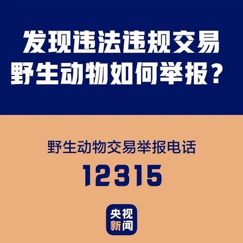 自貢一男子在抖音炫耀剮殺果子貍，結果......(圖7)