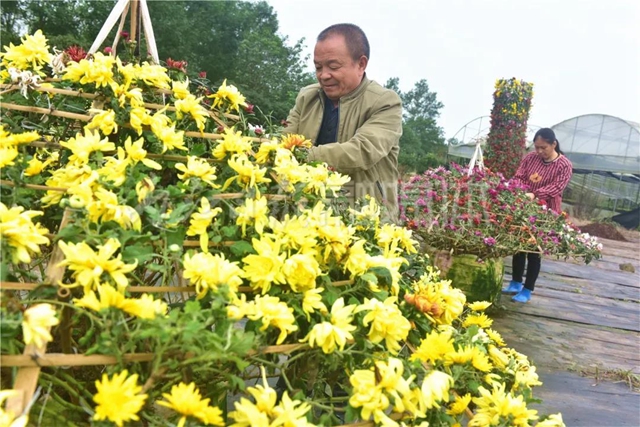 震撼！內(nèi)江城區(qū)邊，有片“七彩?！?！(圖12)