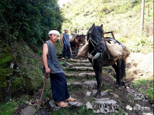 省級新名片！敘永摩尼被命名為“云上古道·康養(yǎng)小鎮(zhèn)”(圖3)