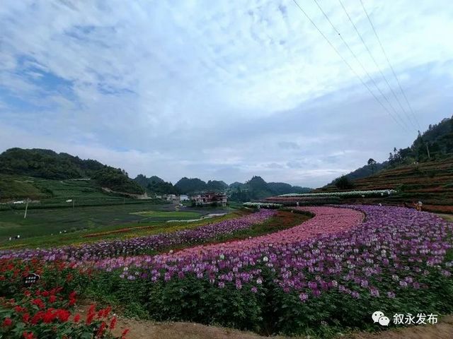 省級新名片！敘永摩尼被命名為“云上古道·康養(yǎng)小鎮(zhèn)”(圖4)