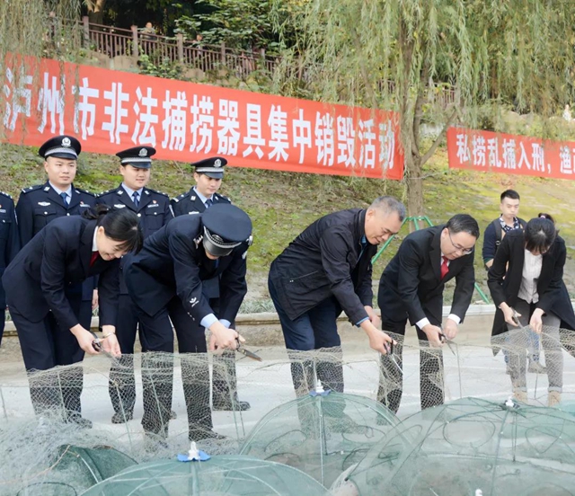 鐵腕禁捕！銷毀非法捕撈器具、增殖放流、普法宣講......瀘州這個活動看點(diǎn)多多！(圖1)