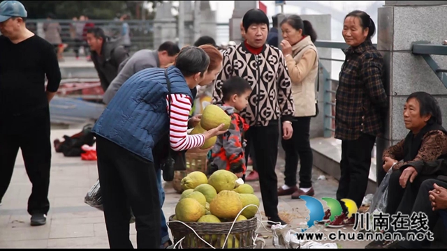 合江：肩條豐挑，長(zhǎng)江北岸耕作人將迎出行之變！(圖4)