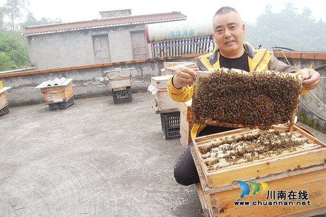 納溪：“與蜂共舞”十八載，鞋匠變身“養(yǎng)蜂達(dá)人”(圖3)