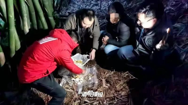 宜賓“百萬黃金首飾被盜案”告破，嫌犯落網(wǎng)！