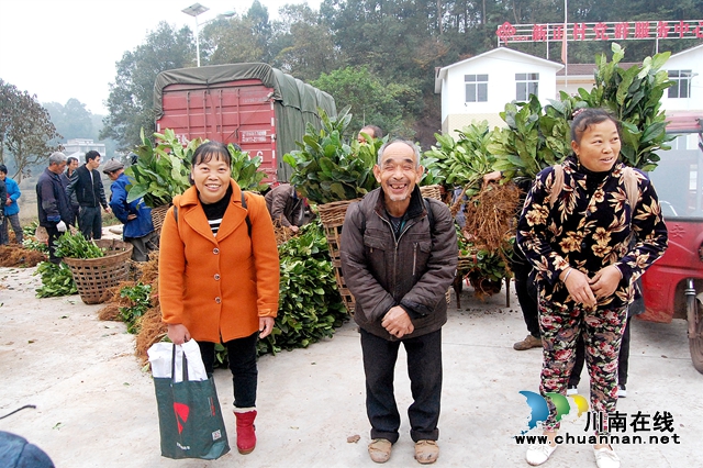 納溪“特聘村主任”李文金：退休創(chuàng)業(yè)功成，回鄉(xiāng)扶助鄉(xiāng)親(圖3)