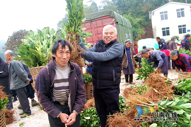 納溪“特聘村主任”李文金：退休創(chuàng)業(yè)功成，回鄉(xiāng)扶助鄉(xiāng)親(圖1)