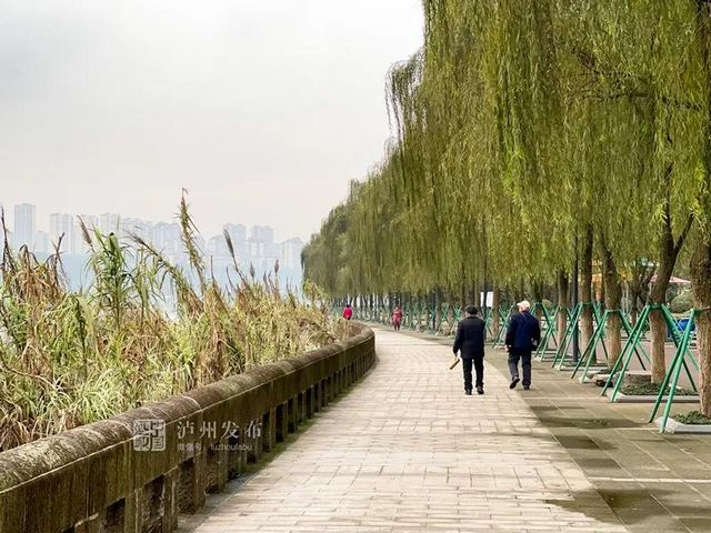 瀘州長江濱江路景觀已恢復(fù)原貌，四條景觀大道升級完成(圖2)