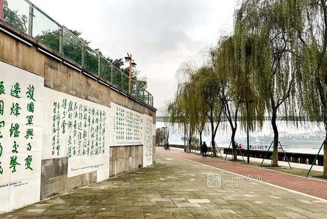 瀘州長江濱江路景觀已恢復(fù)原貌，四條景觀大道升級完成(圖3)