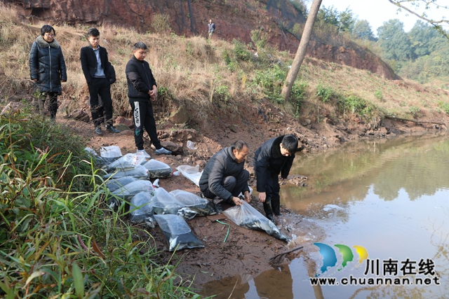 納溪法院：增殖放流，共同促進(jìn)長(zhǎng)江流域生態(tài)資源恢復(fù)(圖3)