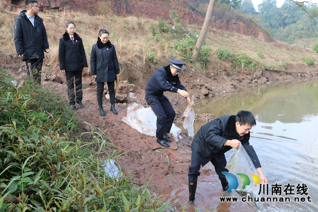 納溪法院：增殖放流，共同促進(jìn)長(zhǎng)江流域生態(tài)資源恢復(fù)(圖2)