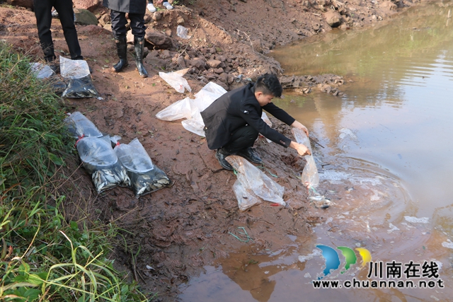 納溪法院：增殖放流，共同促進(jìn)長(zhǎng)江流域生態(tài)資源恢復(fù)(圖4)