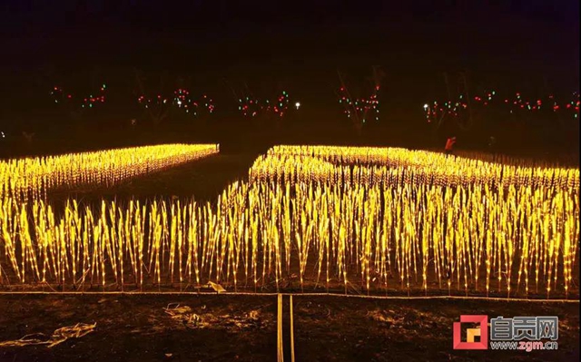 自貢彩燈又走出國門！猜猜這次點(diǎn)亮了哪里？(圖12)