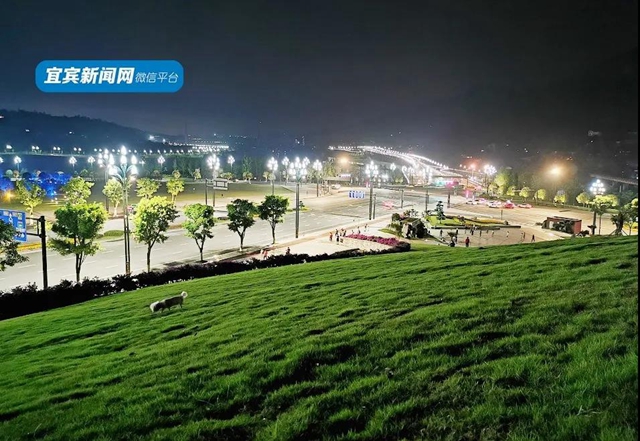 正式亮相！宜賓主城區(qū)又一新地標(biāo)來(lái)了！唐式樓閣，古色古香！(圖5)