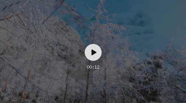 冰雪奇緣！快來古藺捕捉陽光下的雪封仙境！(圖1)