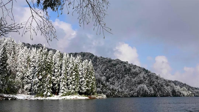 冰雪奇緣！快來古藺捕捉陽光下的雪封仙境！(圖10)