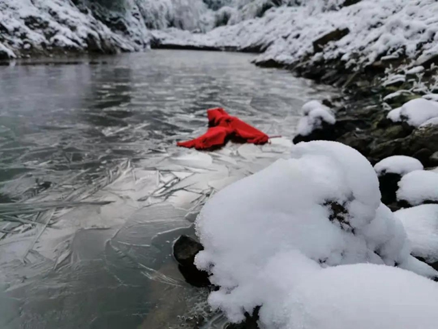 冰雪奇緣！快來古藺捕捉陽光下的雪封仙境！(圖13)