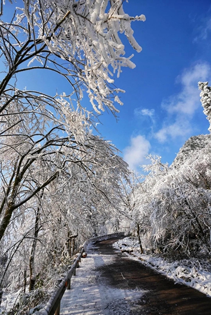冰雪奇緣！快來古藺捕捉陽光下的雪封仙境！(圖14)
