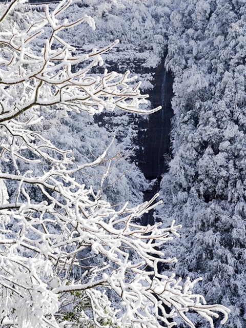 冰雪奇緣！快來古藺捕捉陽光下的雪封仙境！(圖20)