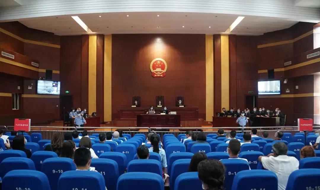 鐵腕掃黑！隆昌打掉3個惡勢力團(tuán)伙(圖3)