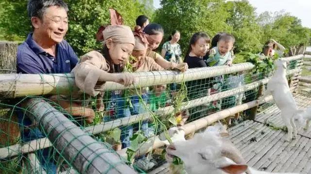 住房車，賞百草！新晉內(nèi)江網(wǎng)紅地“藥王谷”來了！(圖4)