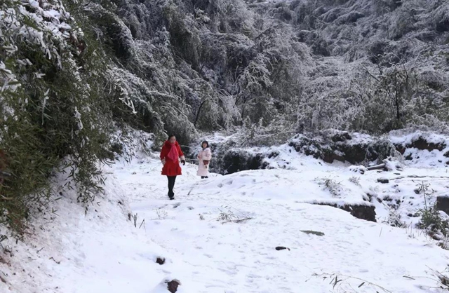 這些賞雪地點(diǎn)趕緊收藏！宜賓可能迎來(lái)新年第一場(chǎng)雪(圖5)