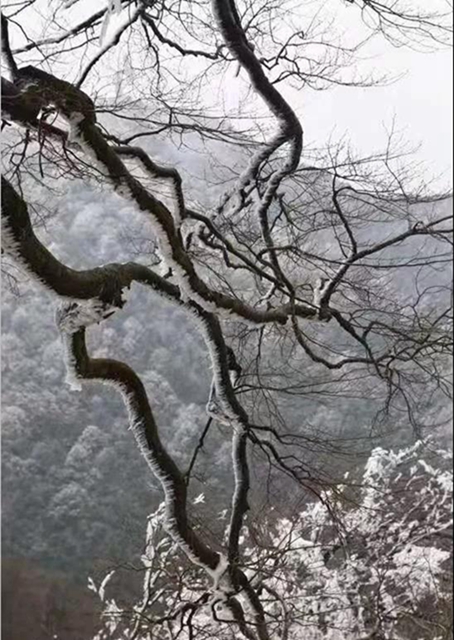 這些賞雪地點(diǎn)趕緊收藏！宜賓可能迎來(lái)新年第一場(chǎng)雪(圖19)