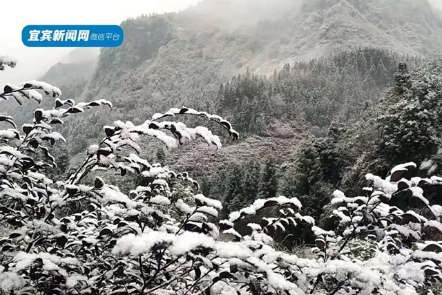 這些賞雪地點(diǎn)趕緊收藏！宜賓可能迎來(lái)新年第一場(chǎng)雪(圖16)