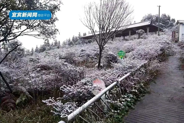 這些賞雪地點(diǎn)趕緊收藏！宜賓可能迎來(lái)新年第一場(chǎng)雪(圖18)