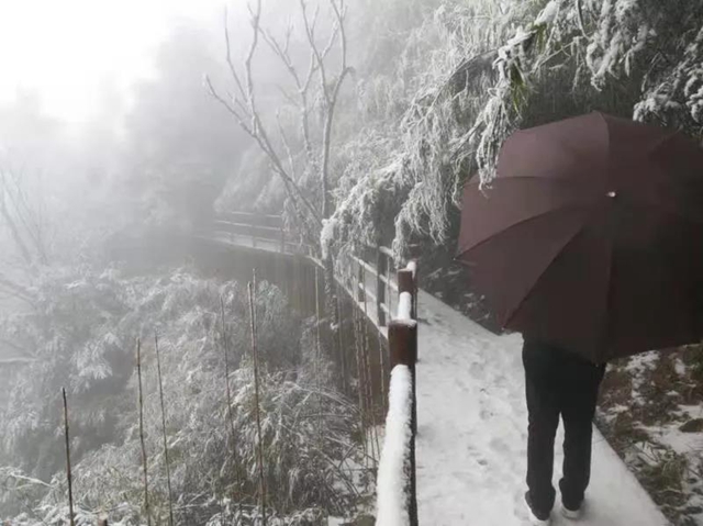 這些賞雪地點(diǎn)趕緊收藏！宜賓可能迎來(lái)新年第一場(chǎng)雪(圖25)